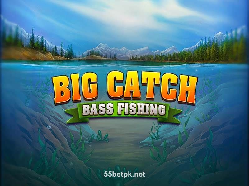 Big Catch Bass Fishing